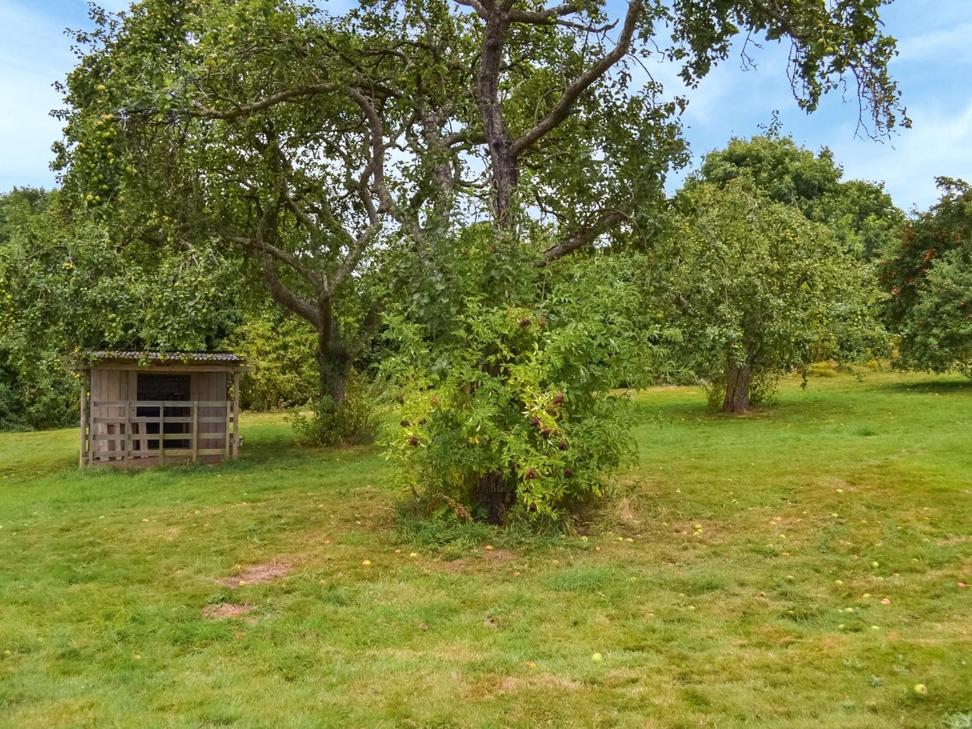 Bramley Orchard Lodge 雷特福德 外观 照片